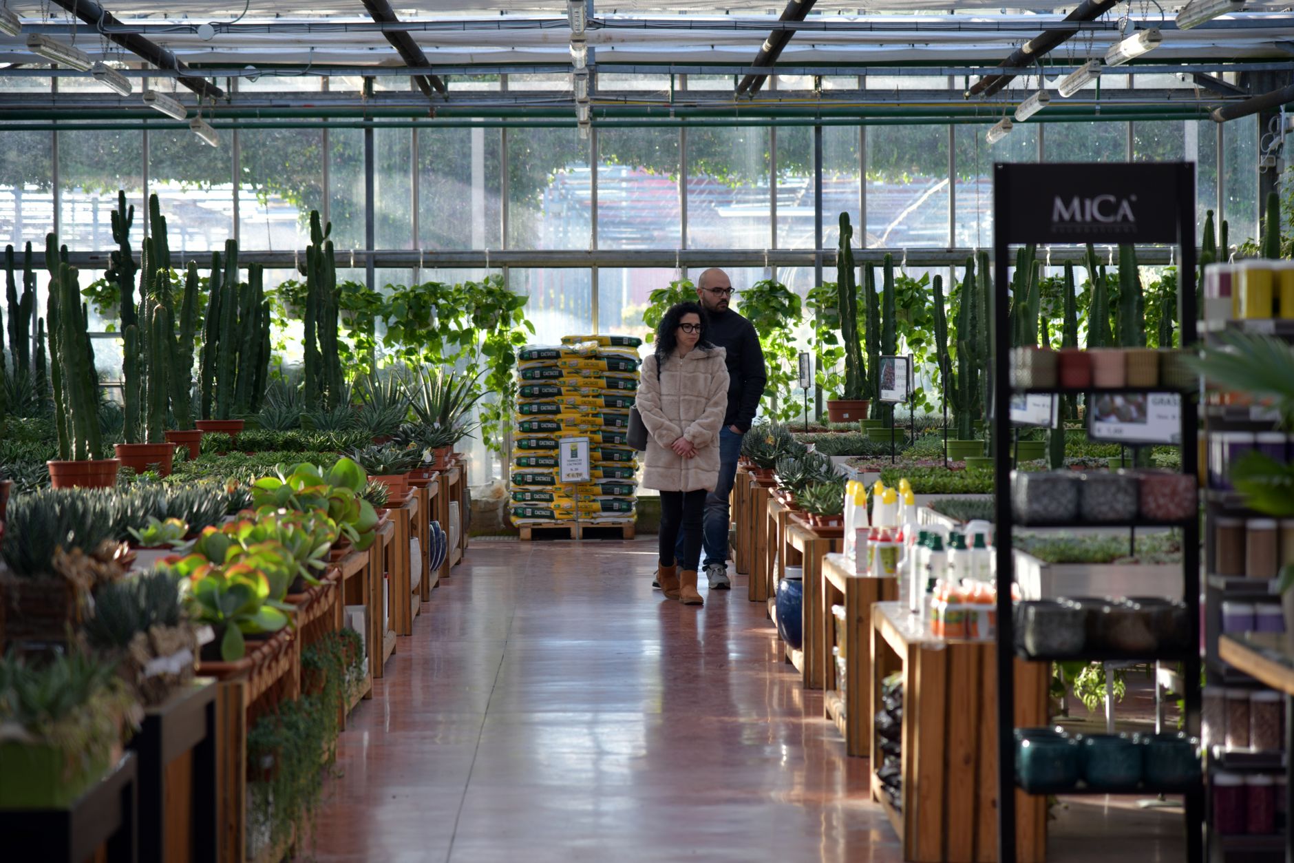 Vibrant indoor garden center with a variety of plants and customers shopping