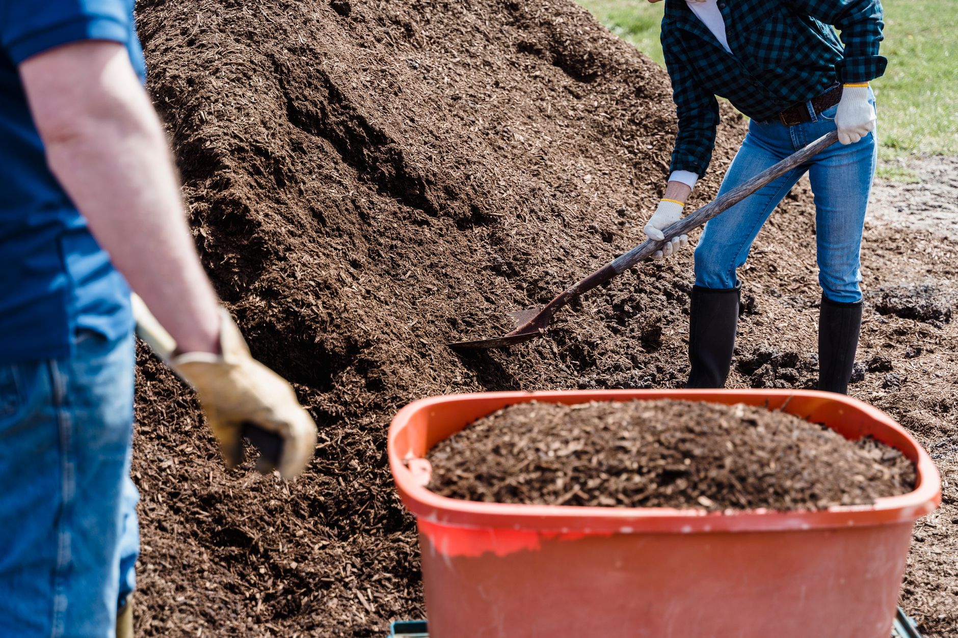 Two people shoveling soil into a wheelbarrow in a garden on a sunny day
