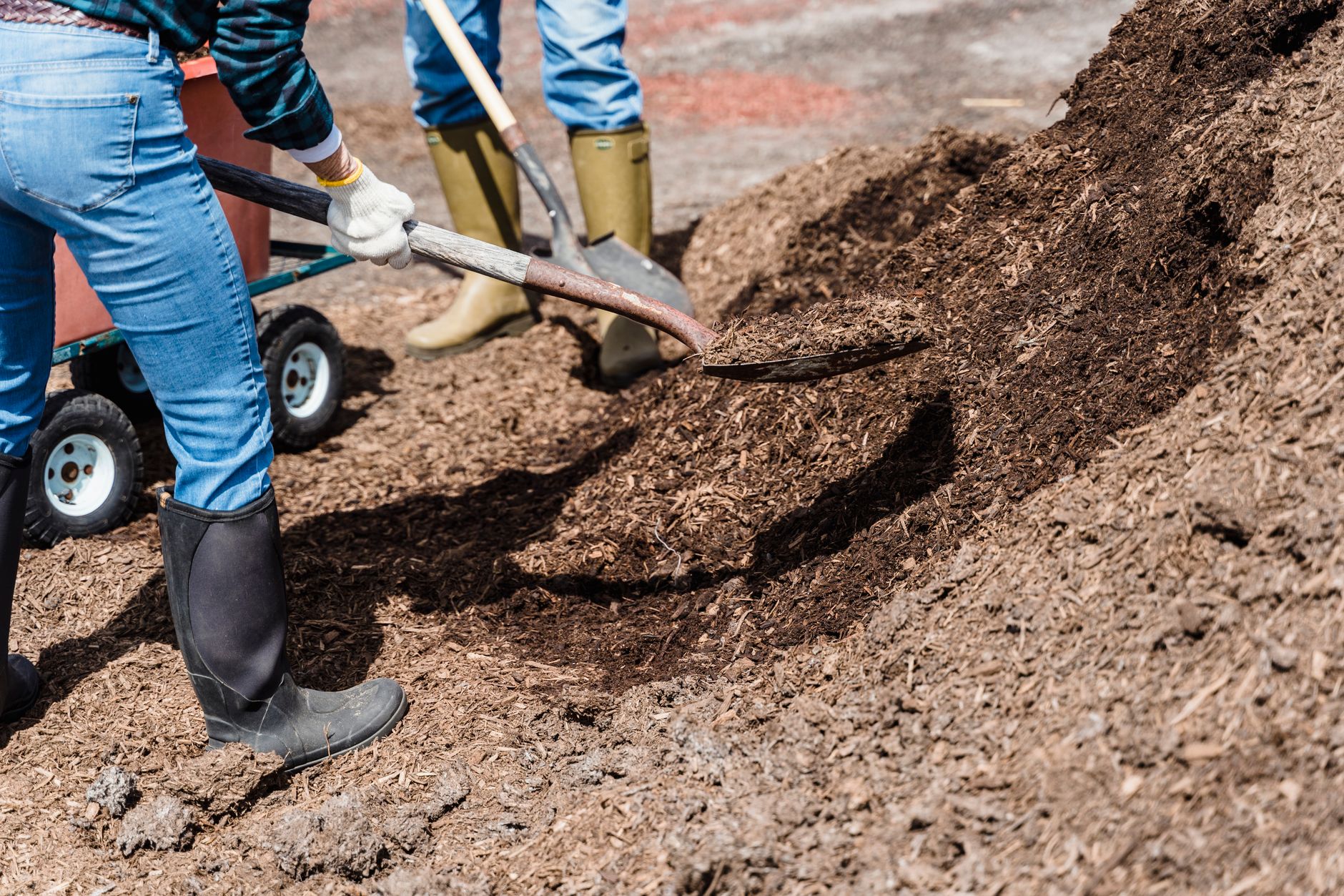 Workers spreading soil outdoors for a landscaping project
