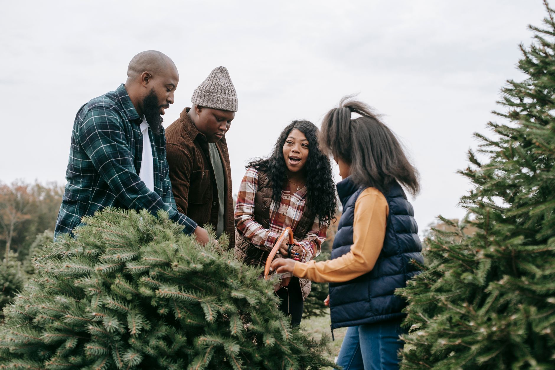 A family cutting down a Christmas tree at a choose-and-cut farm