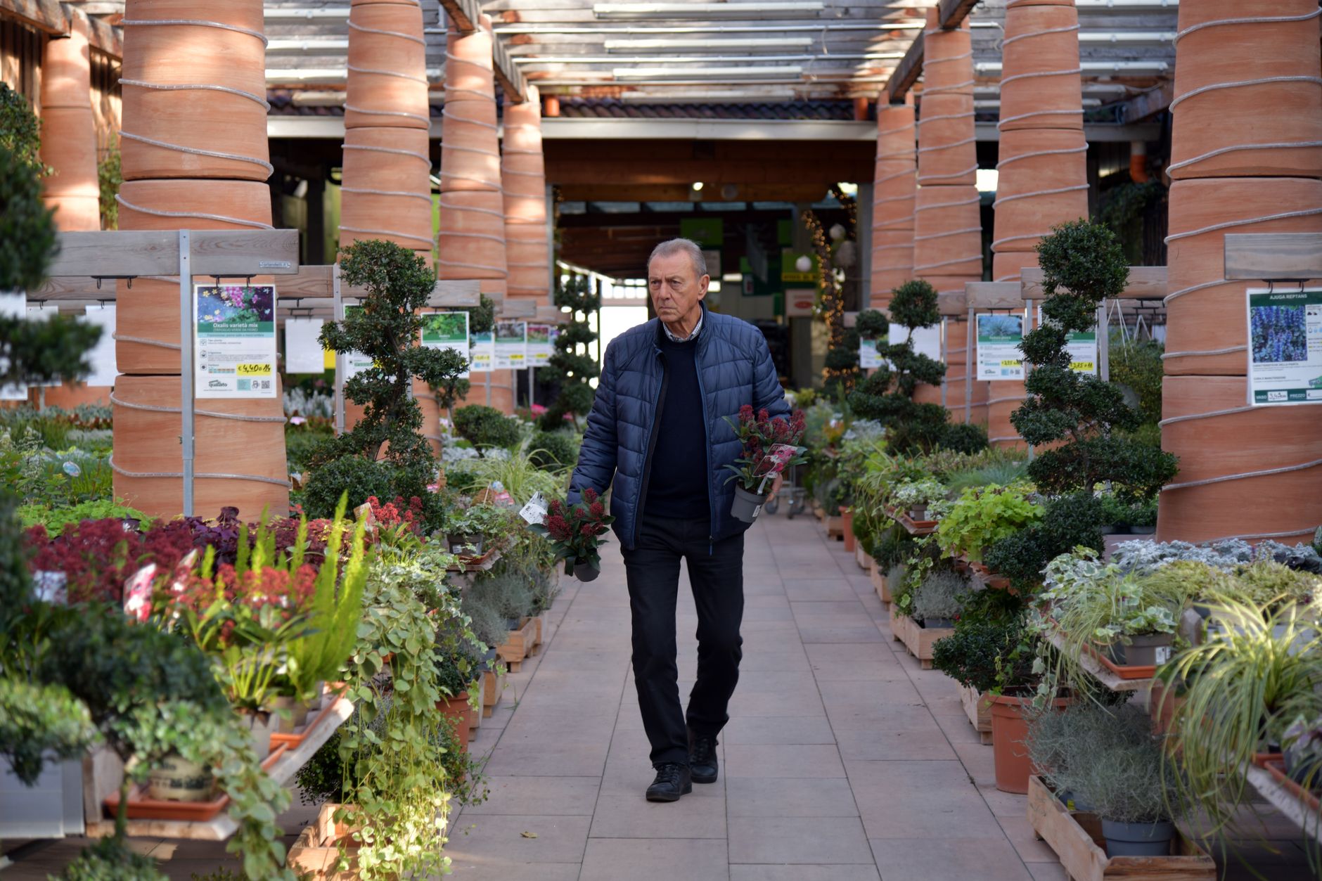 A customer looking over trees and plants for sale in a garden center