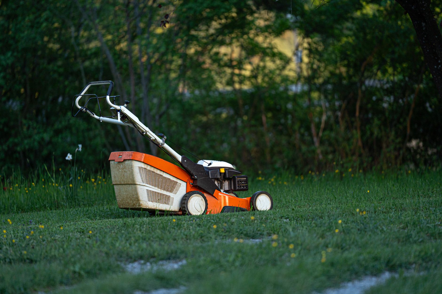 Lawn mower parked on a backyard lawn ready for yard work
