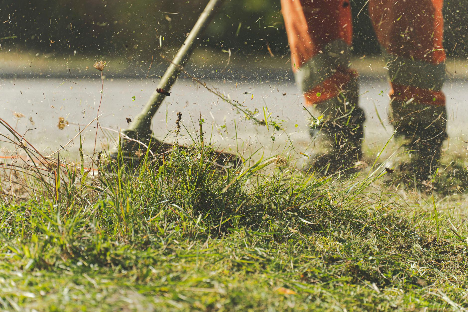 A person using a lawn mower to trim grass in a sunny garden