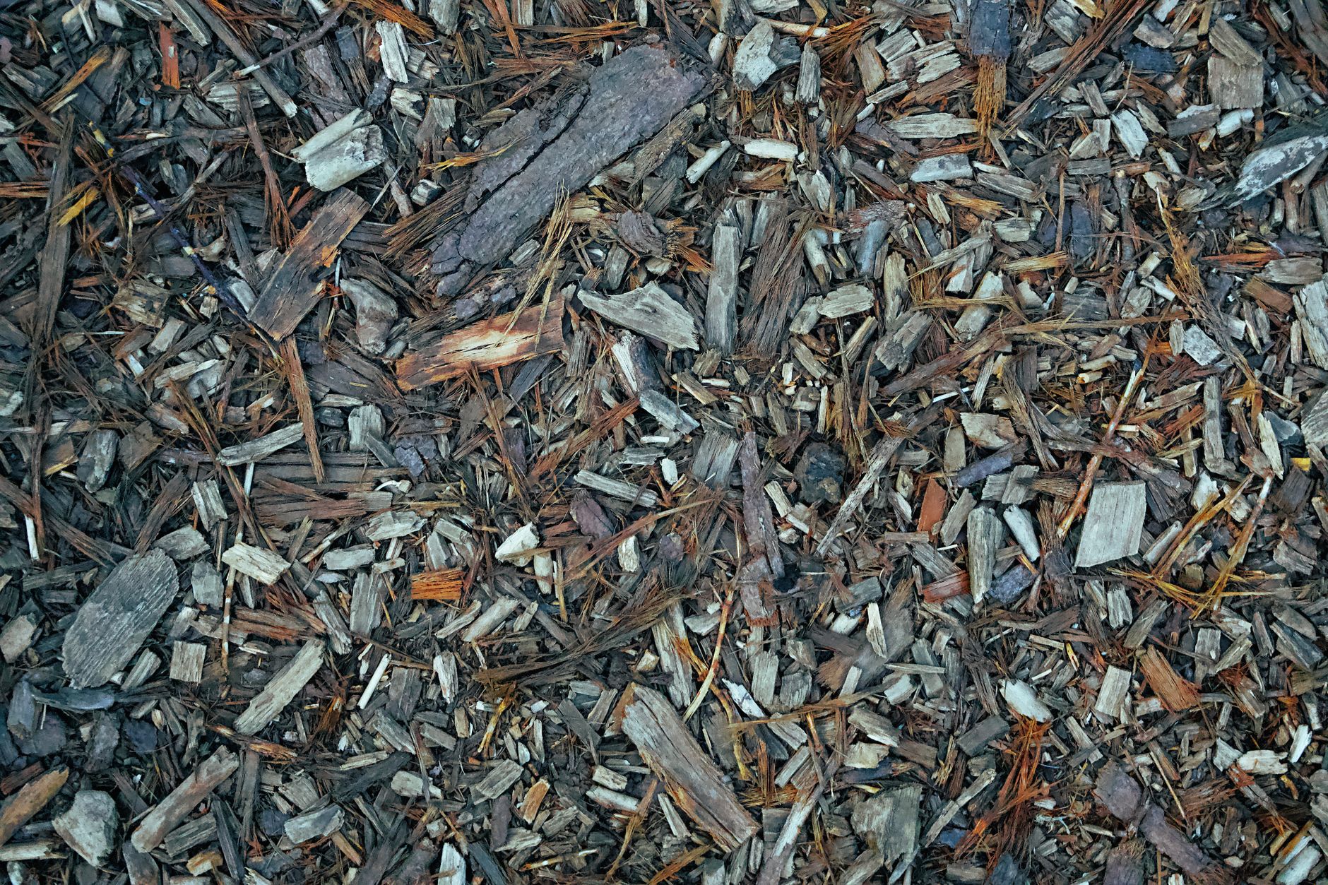 Close-up of wood chip mulch on the ground