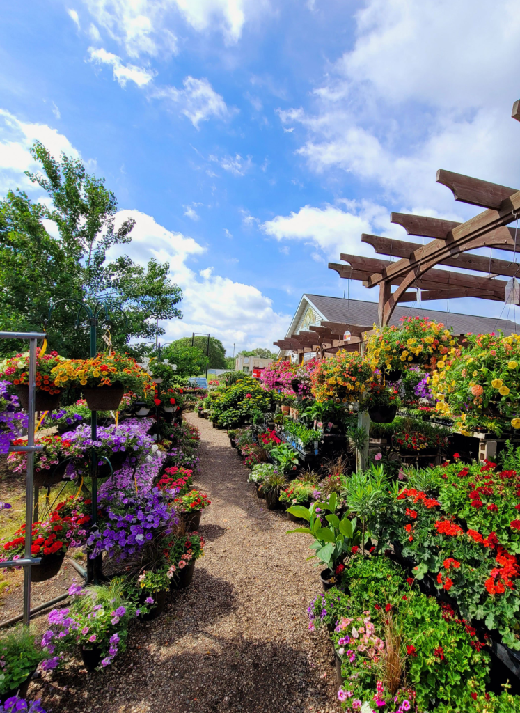 garden centres